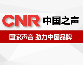 北京廣告咨詢 城市脈動(dòng)下的品牌策略與市場(chǎng)洞察